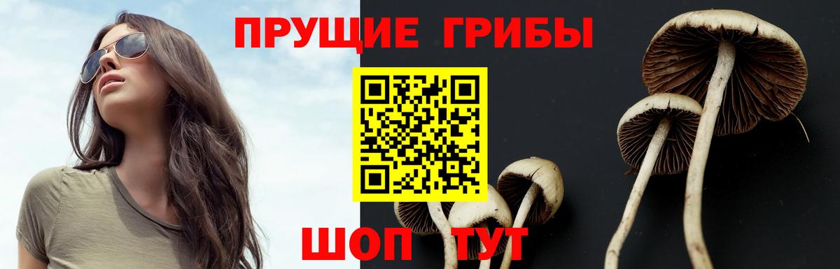 Псилоцибиновые грибы GOLDEN TEACHER Красноярск
